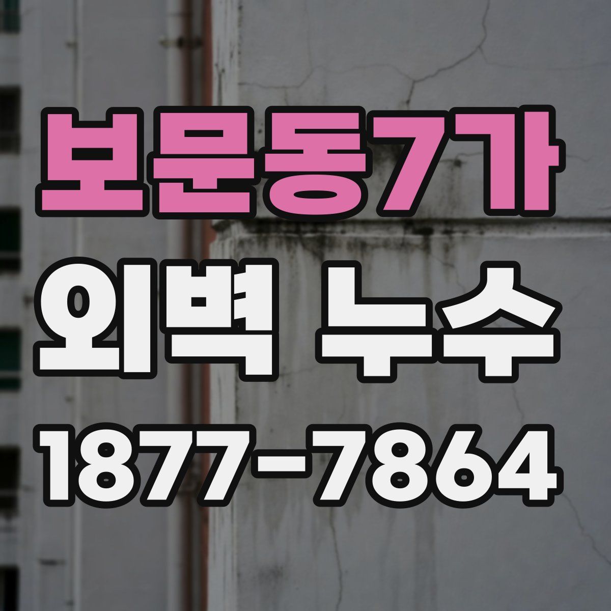 보문동7가 외벽 누수