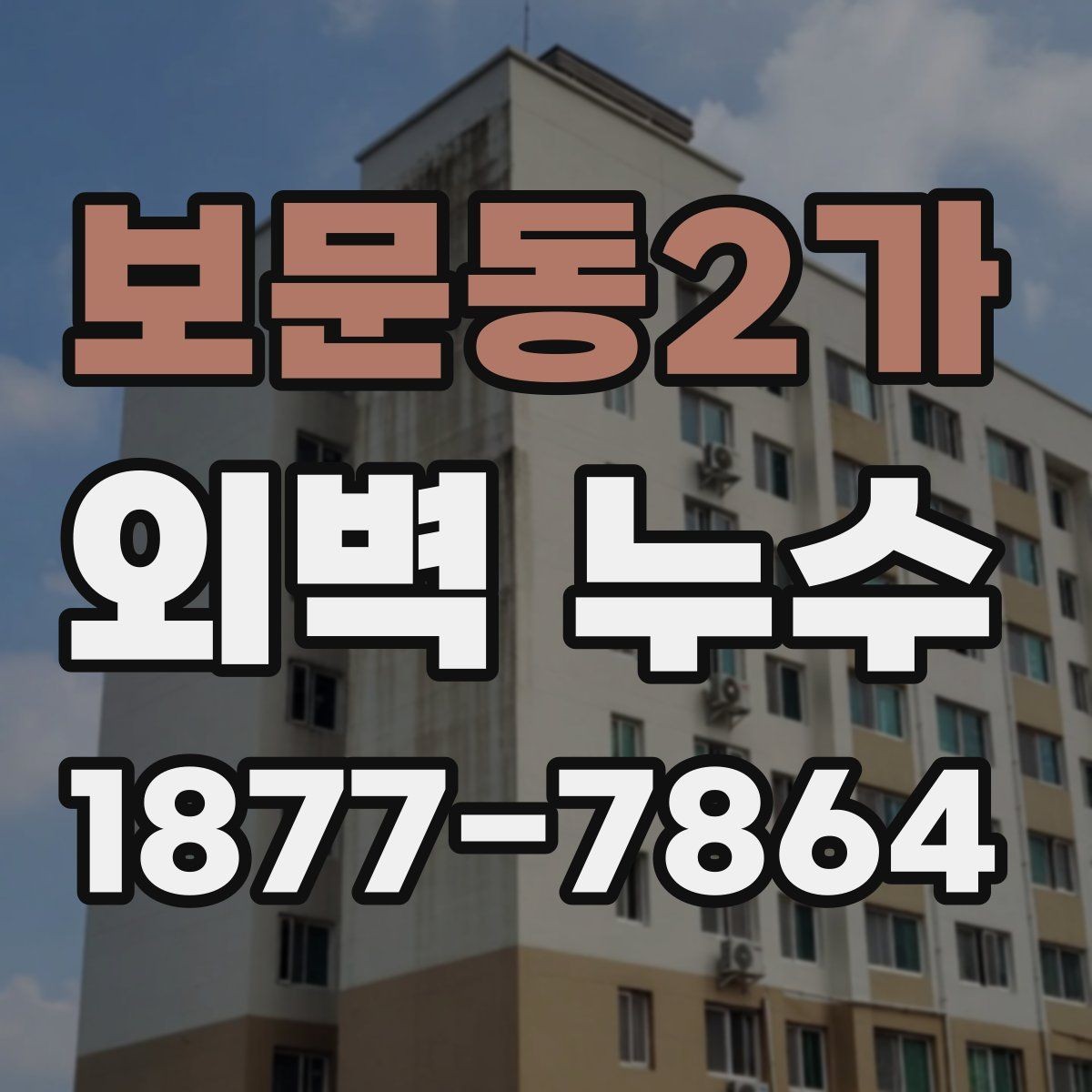보문동2가 외벽 누수 보수 범위를 정할 때 주의할 점