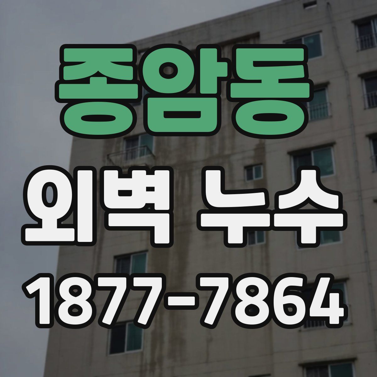 종암동 외벽 누수