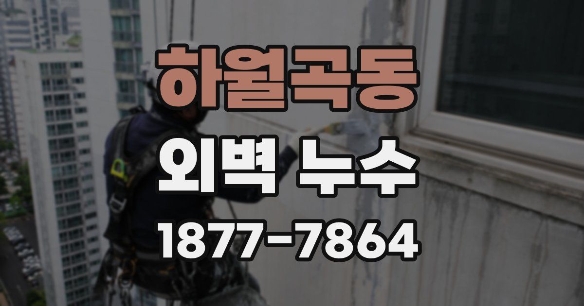 하월곡동 외벽 누수