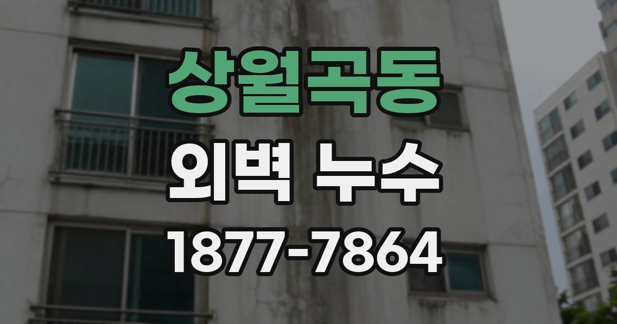 상월곡동 외벽 누수