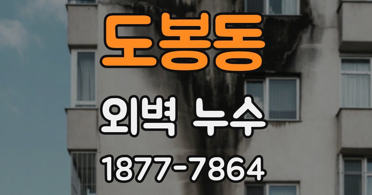 도봉동 외벽 누수