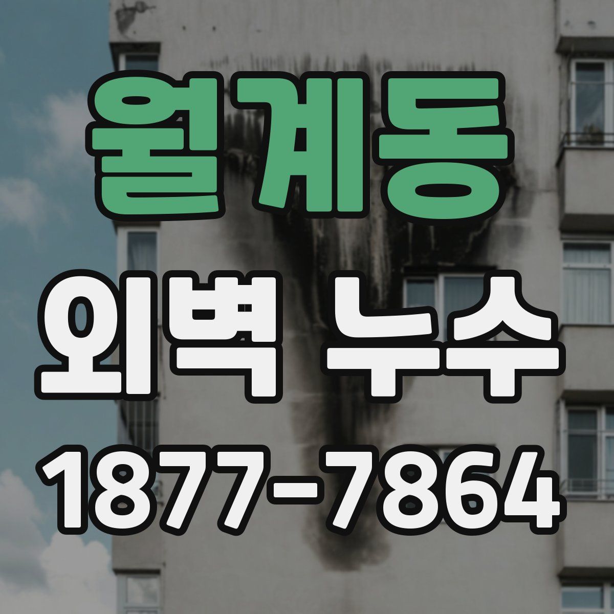 월계동 외벽 누수