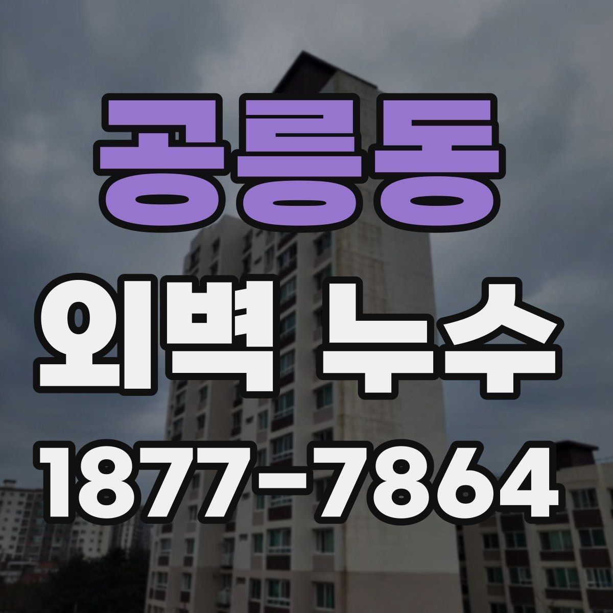 공릉동 외벽 누수 점검 결과를 바탕으로 한 선택