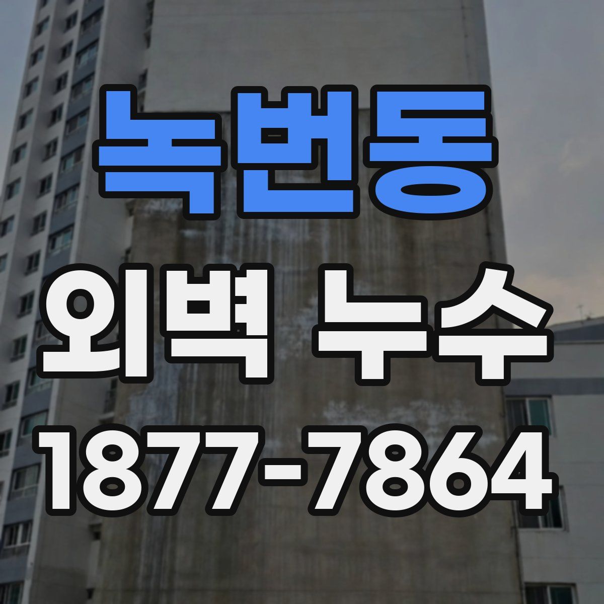 녹번동 외벽 누수