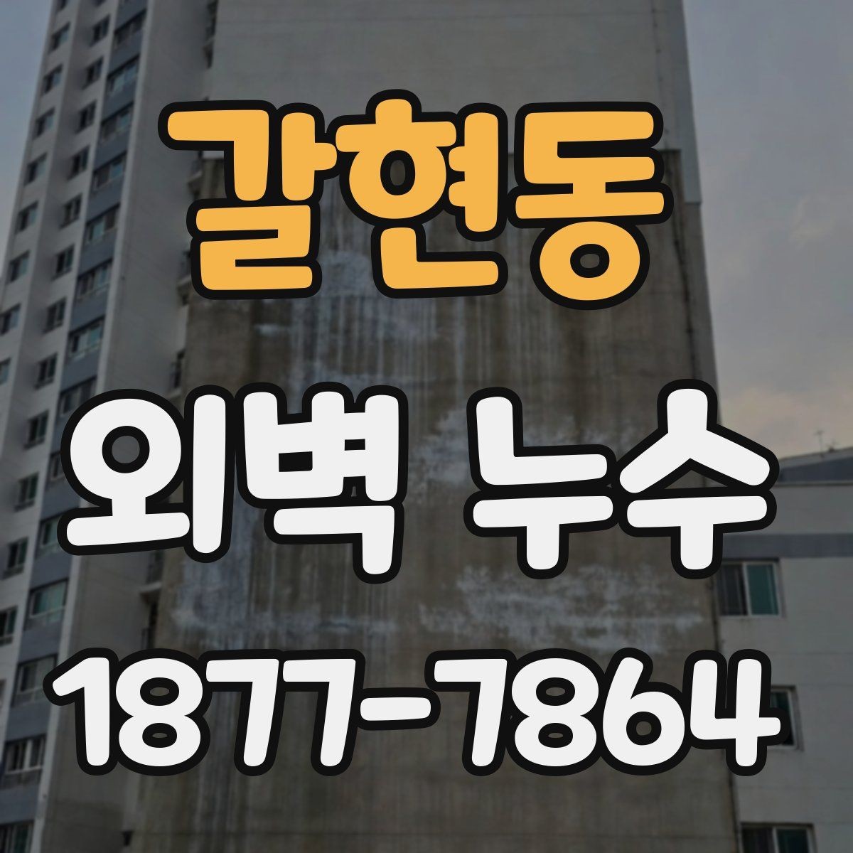 갈현동 외벽 누수 발생 시 점검 순서 정리