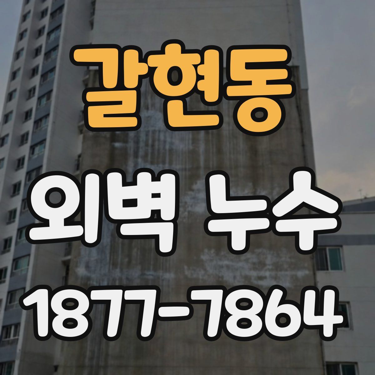 갈현동 외벽 누수