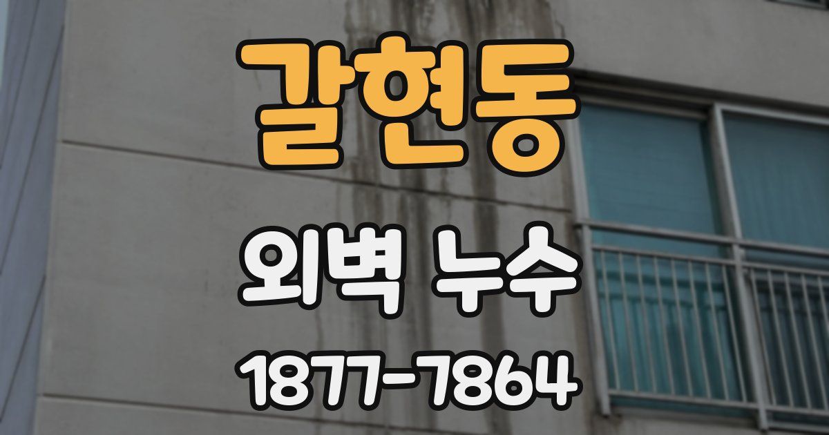 갈현동 외벽 누수