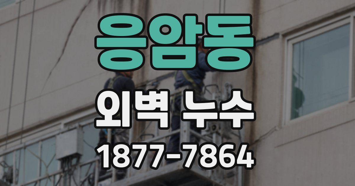 응암동 외벽 누수