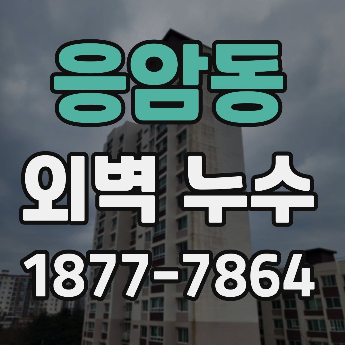 응암동 외벽 누수