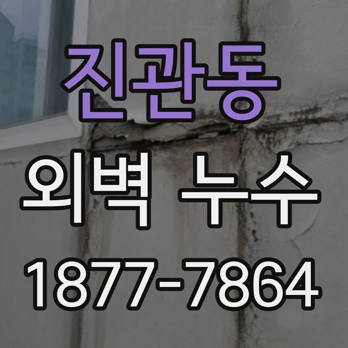 진관동 외벽 누수