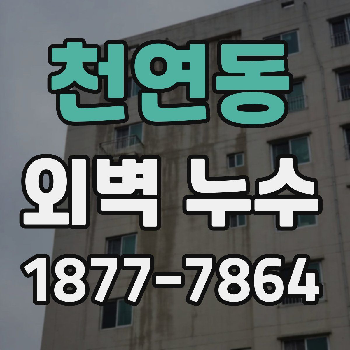 천연동 외벽 누수