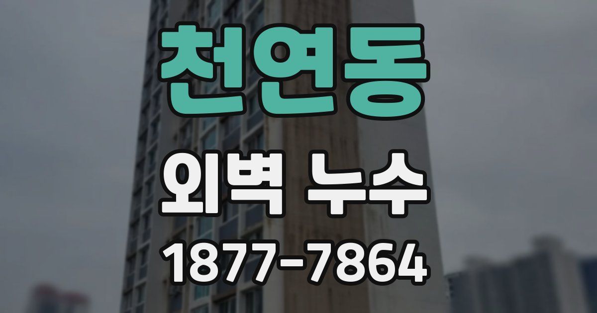 천연동 외벽 누수