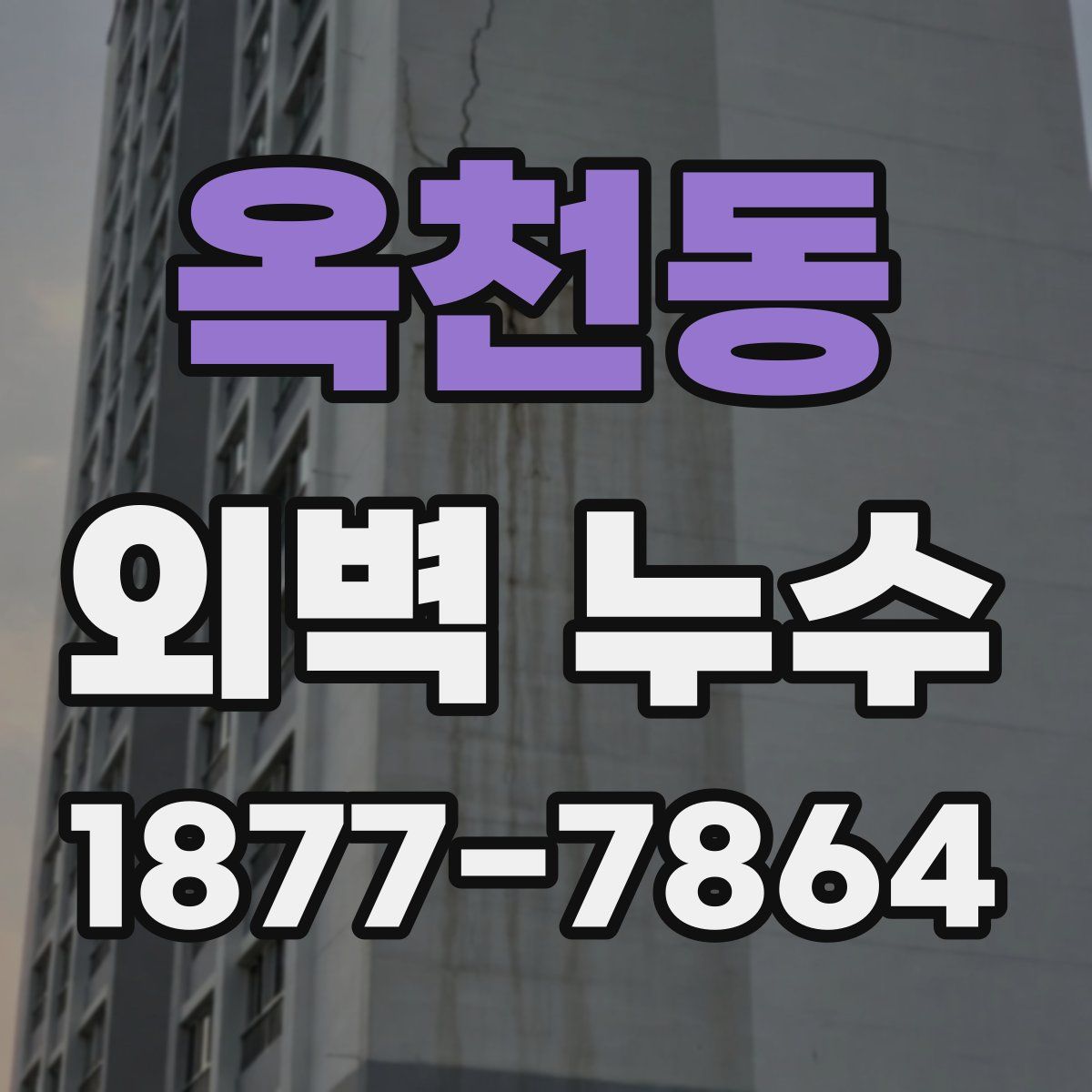 옥천동 외벽 누수