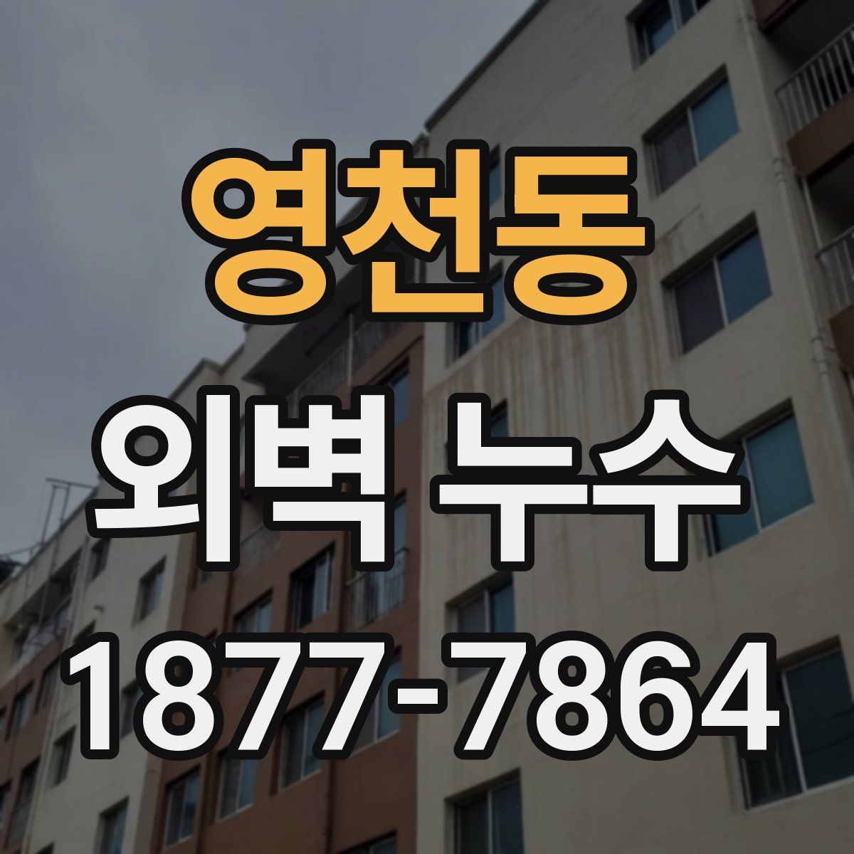 영천동 외벽 누수