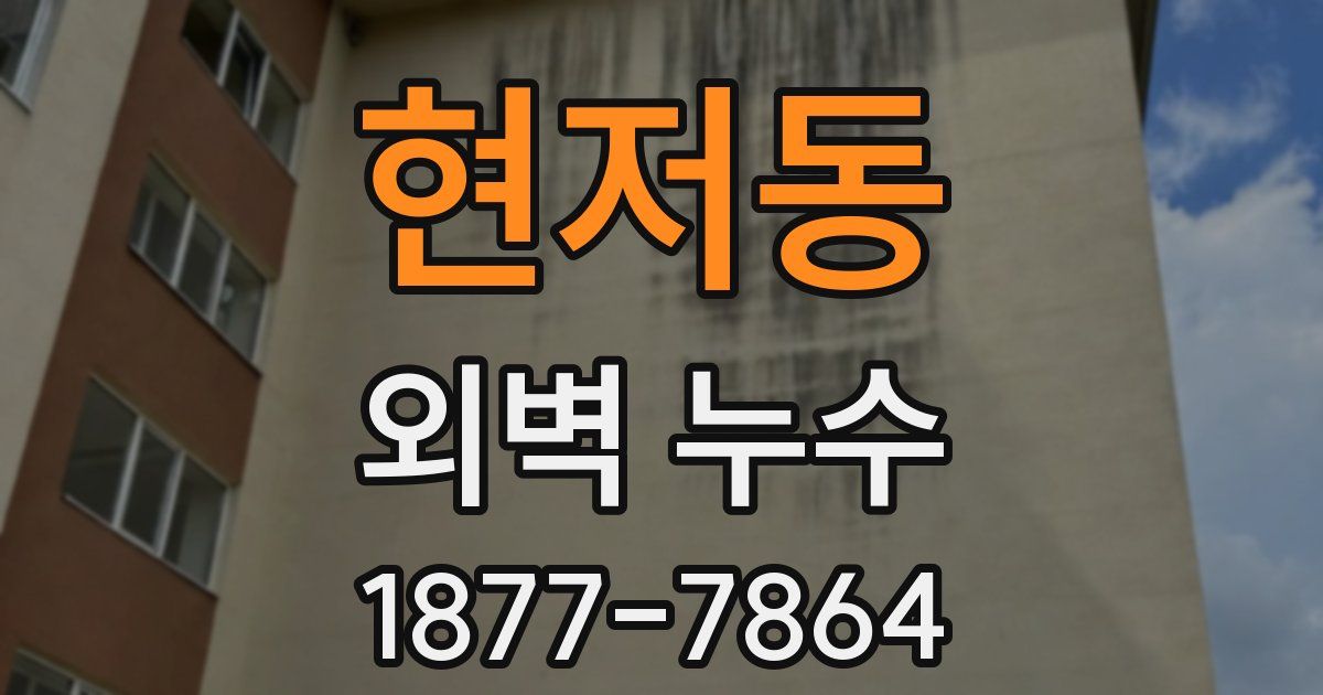 현저동 외벽 누수