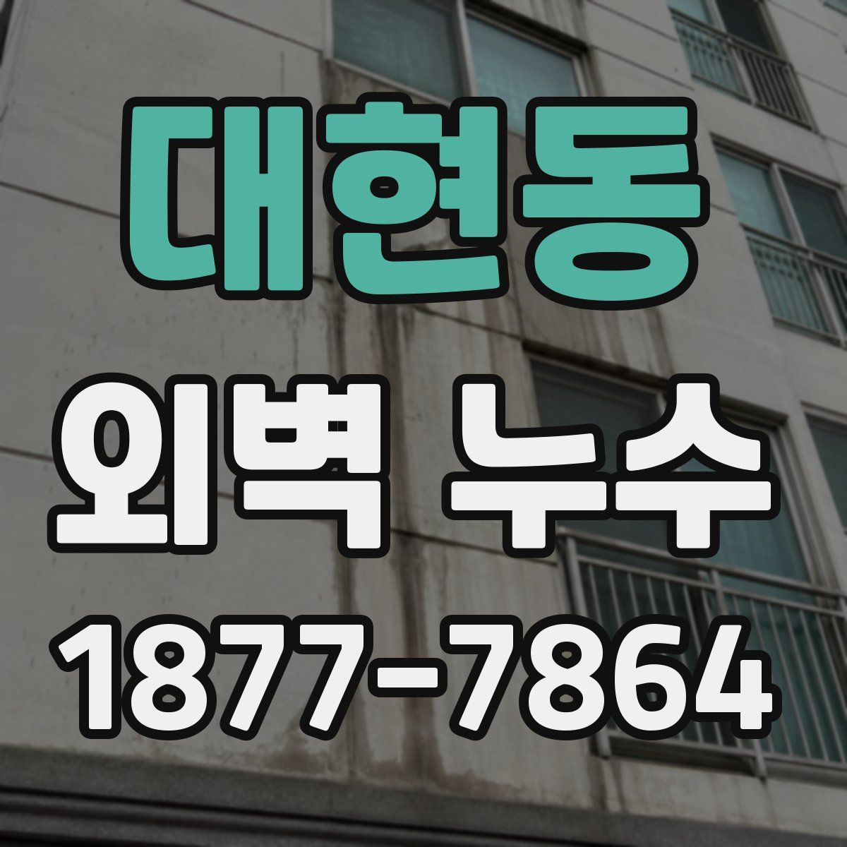 대현동 외벽 누수