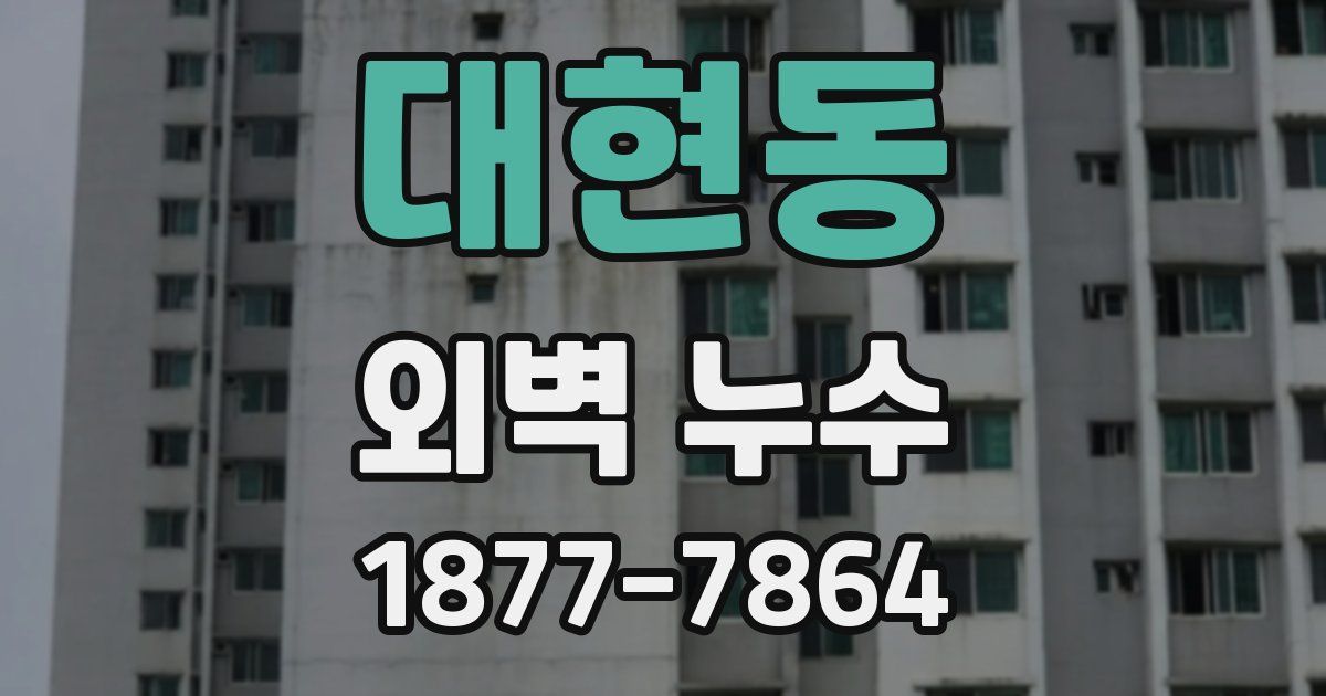 대현동 외벽 누수