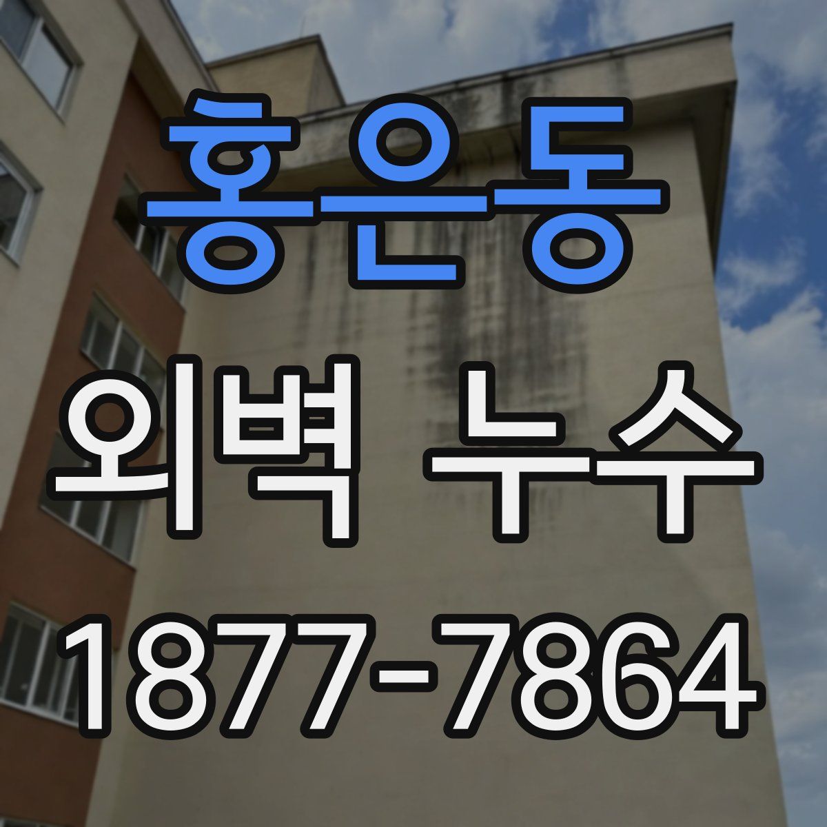 홍은동 외벽 누수