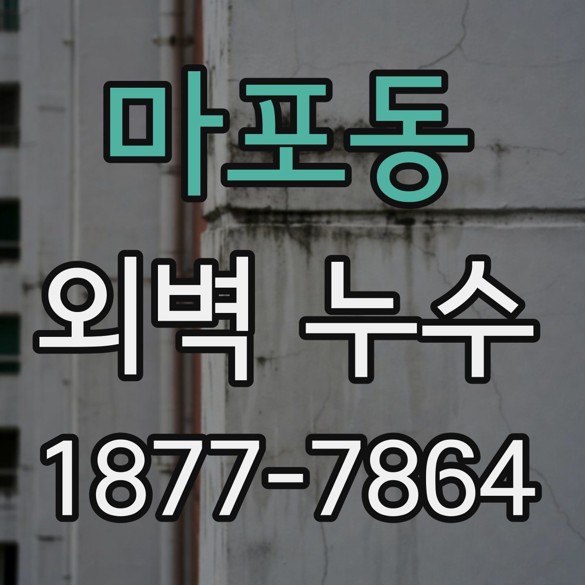 마포동 외벽 누수