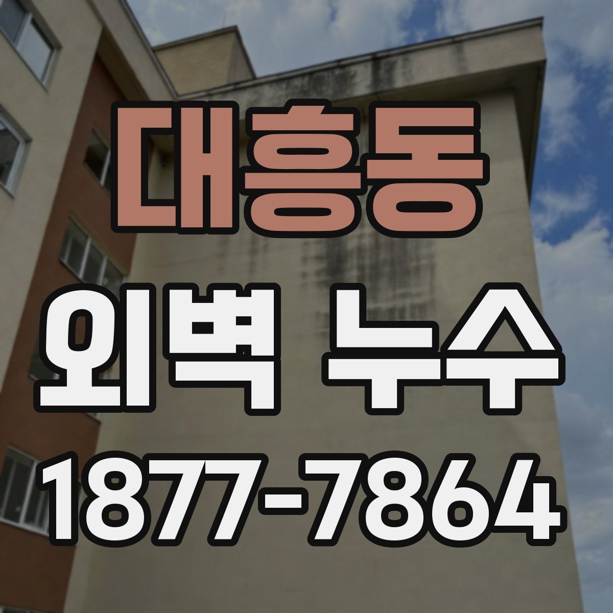대흥동 외벽 누수