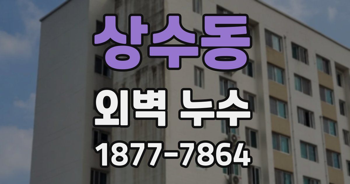 상수동 외벽 누수