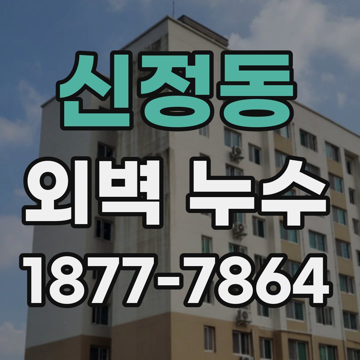 신정동 외벽 누수
