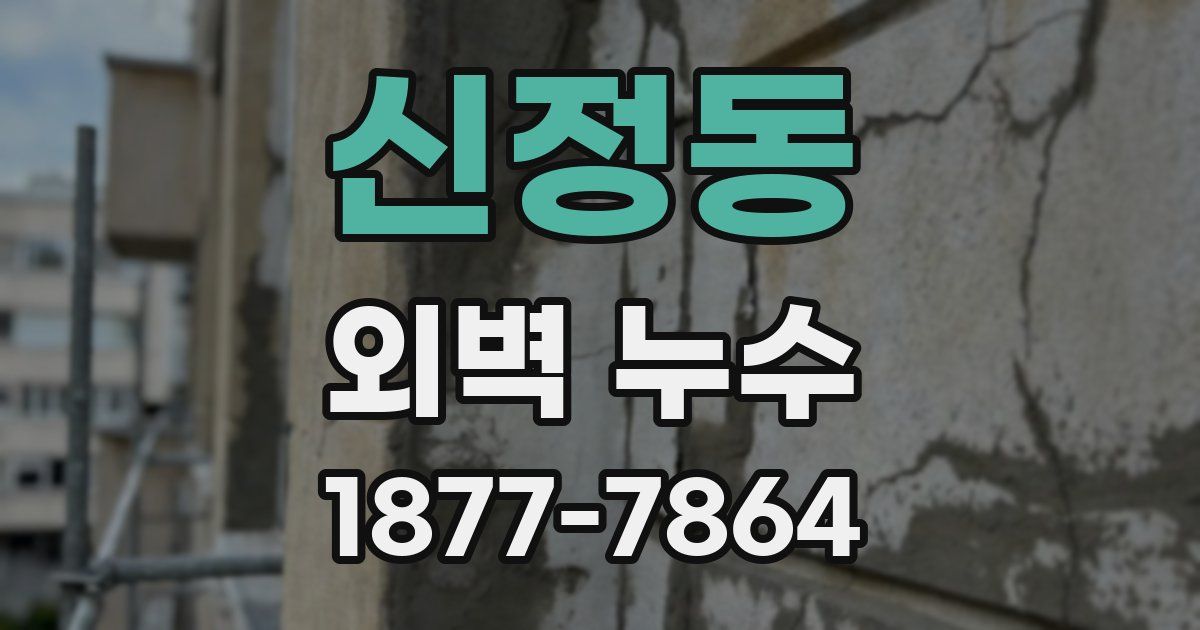 신정동 외벽 누수