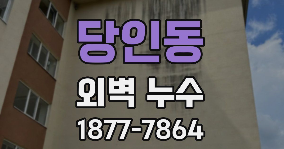당인동 외벽 누수