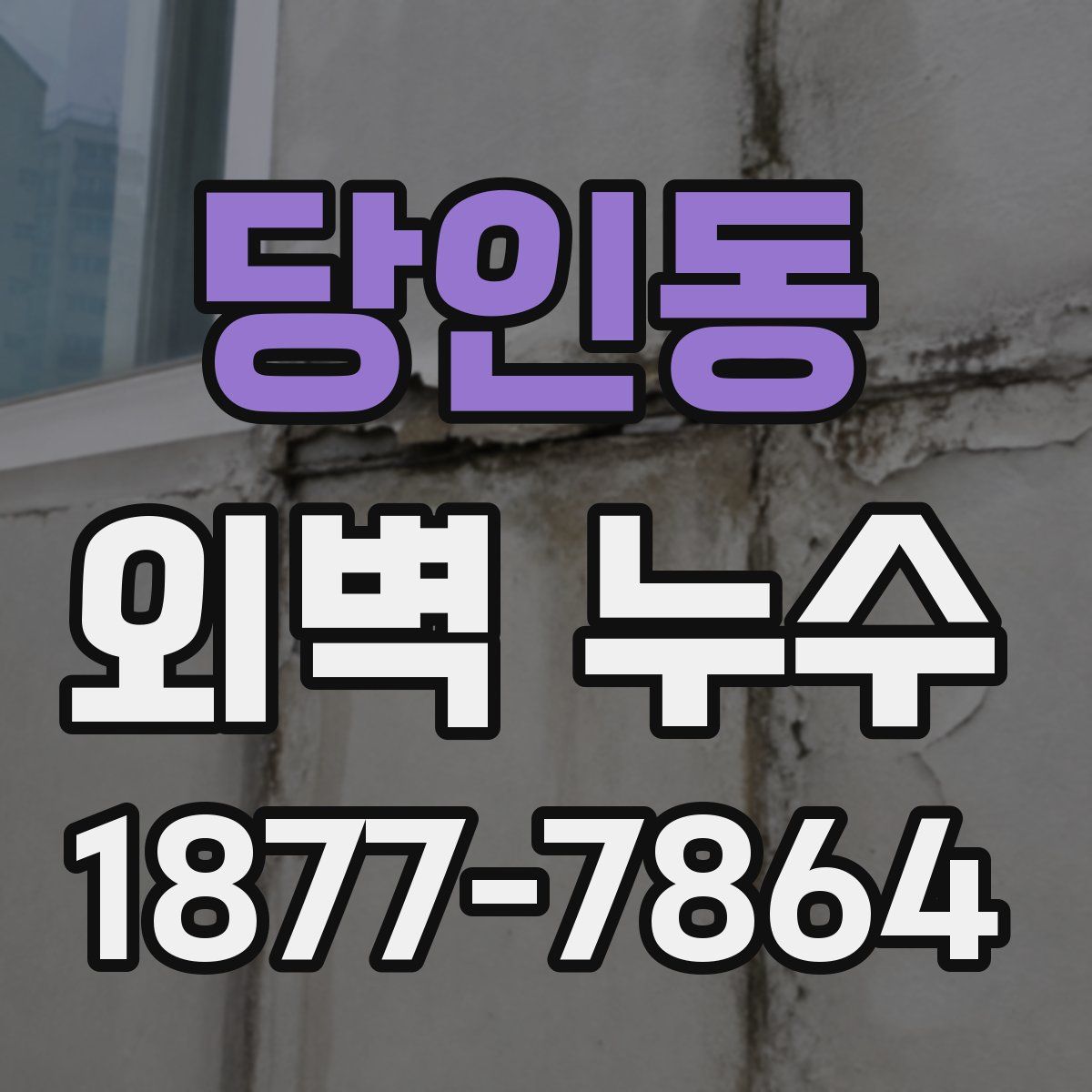 당인동 외벽 누수