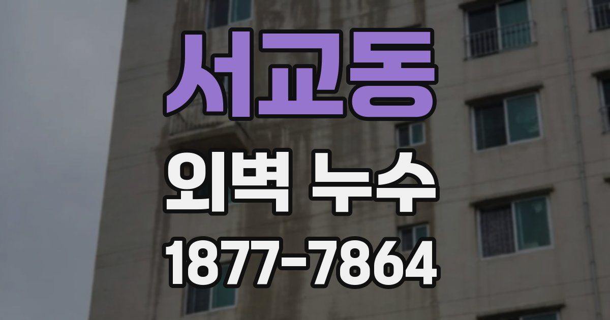 서교동 외벽 누수