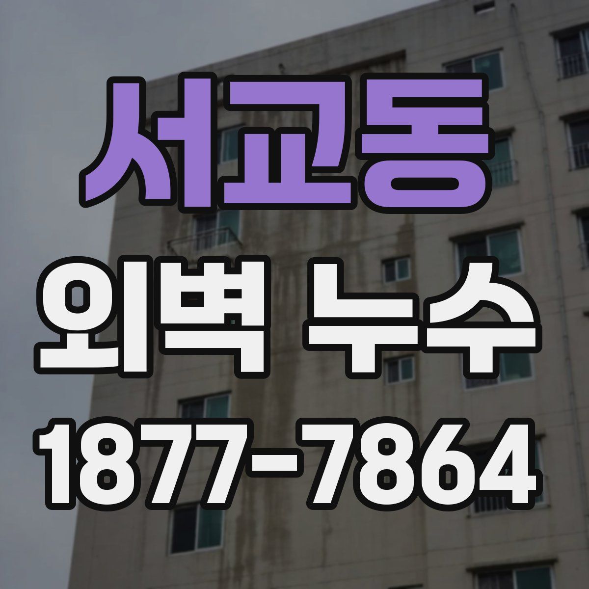 서교동 외벽 누수