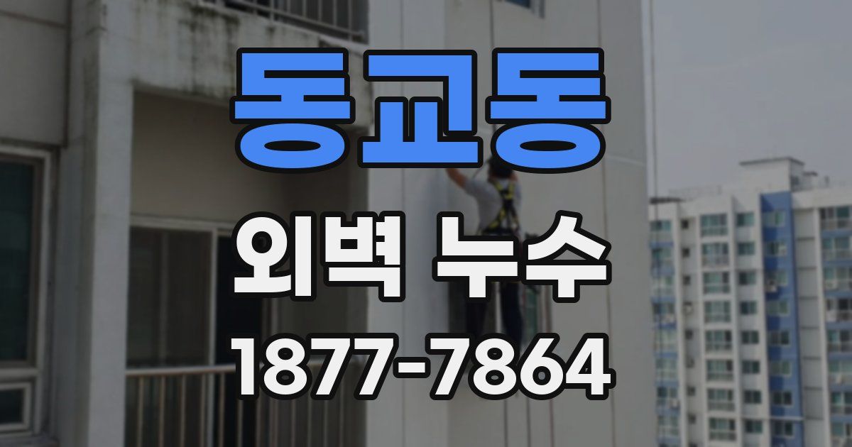 동교동 외벽 누수