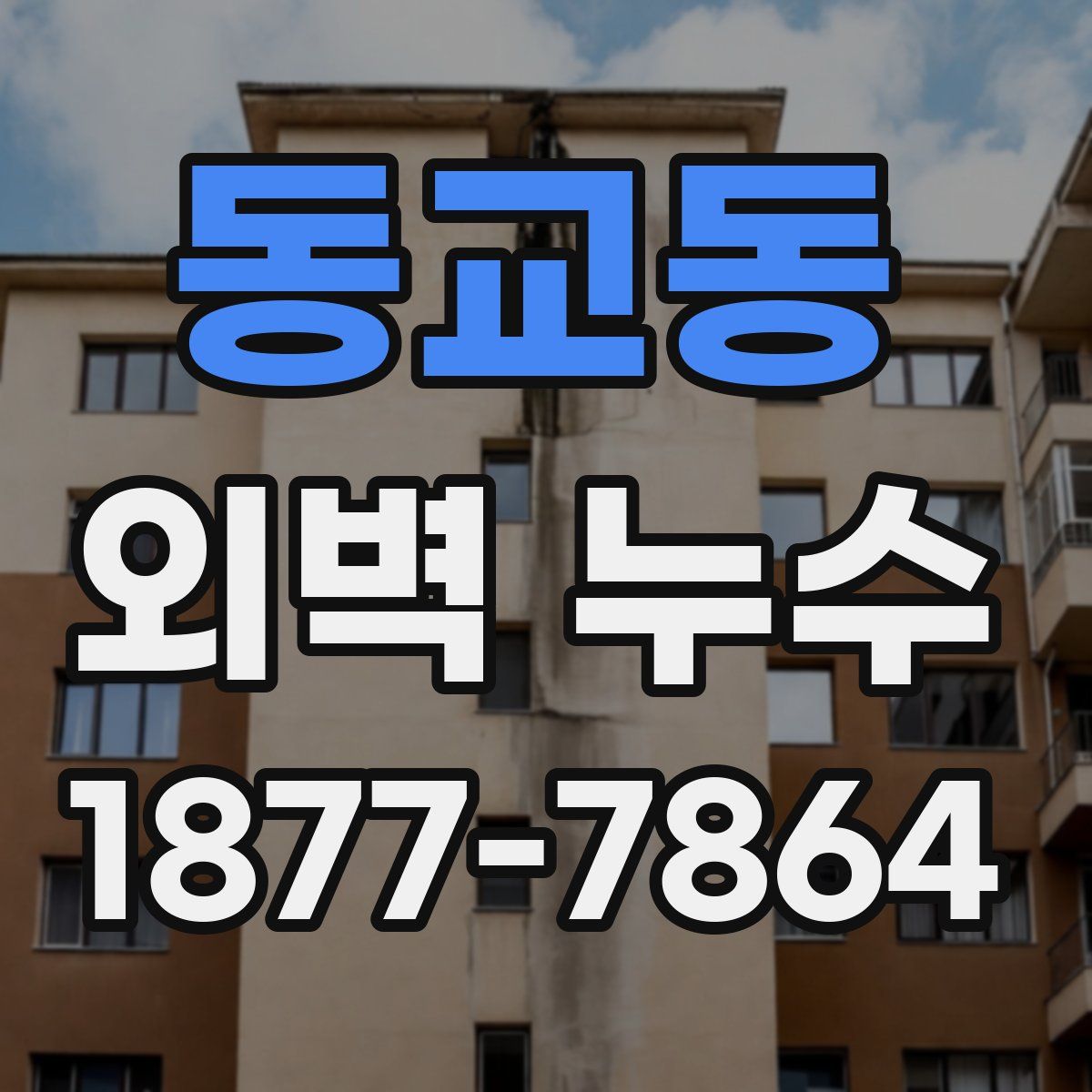 동교동 외벽 누수