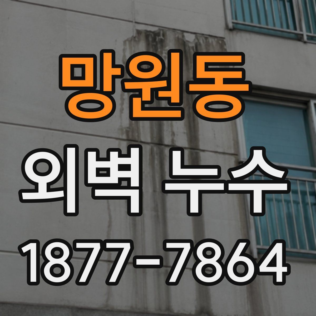 망원동 외벽 누수