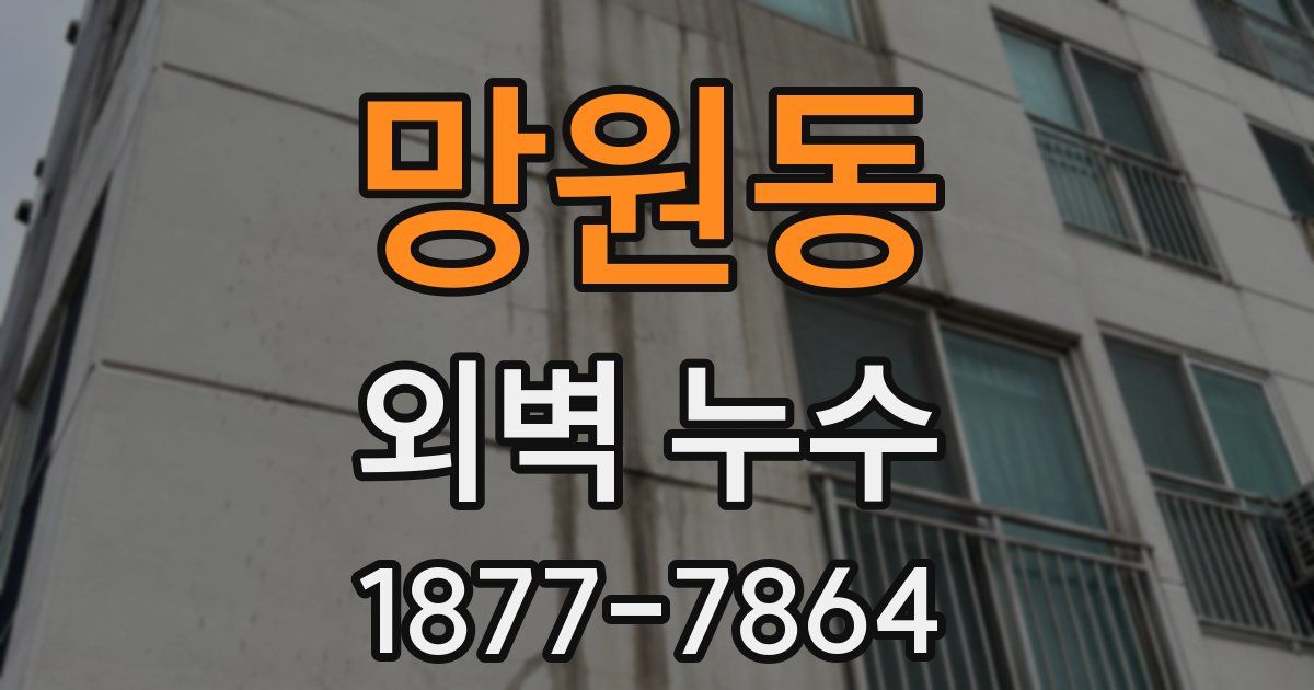 망원동 외벽 누수