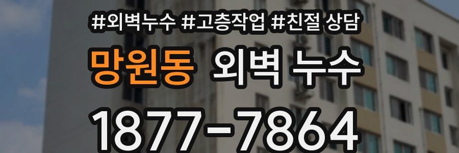 망원동 외벽 누수