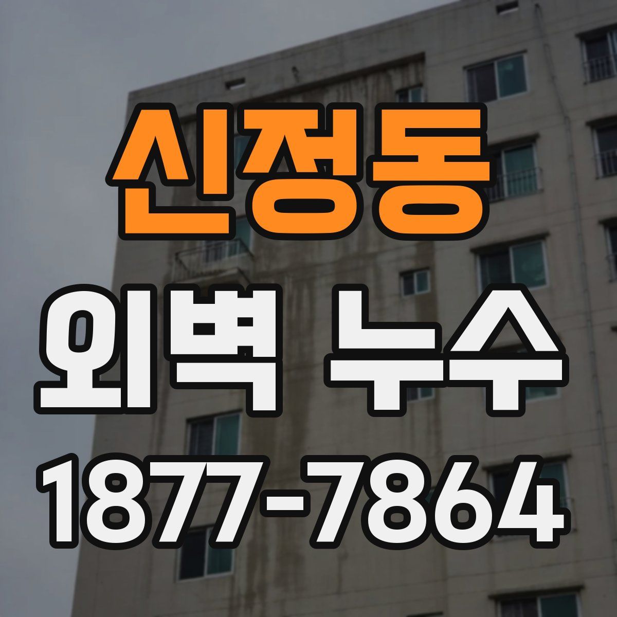 신정동 외벽 누수