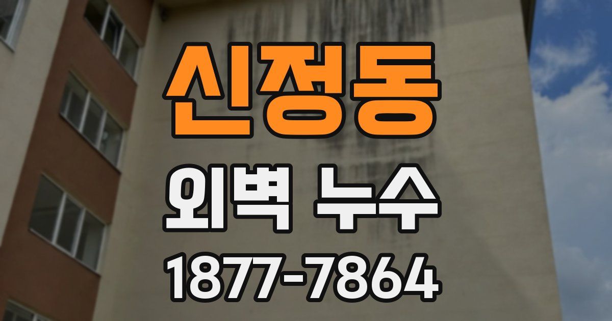 신정동 외벽 누수