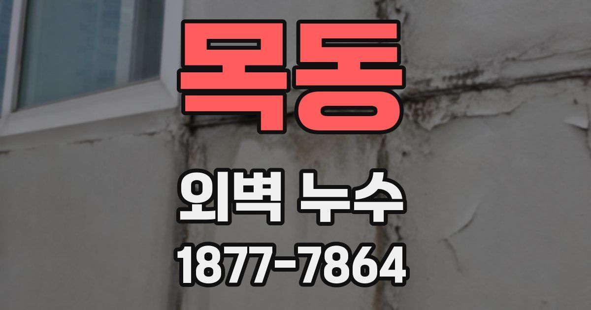 목동 외벽 누수