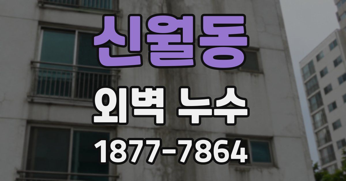 신월동 외벽 누수