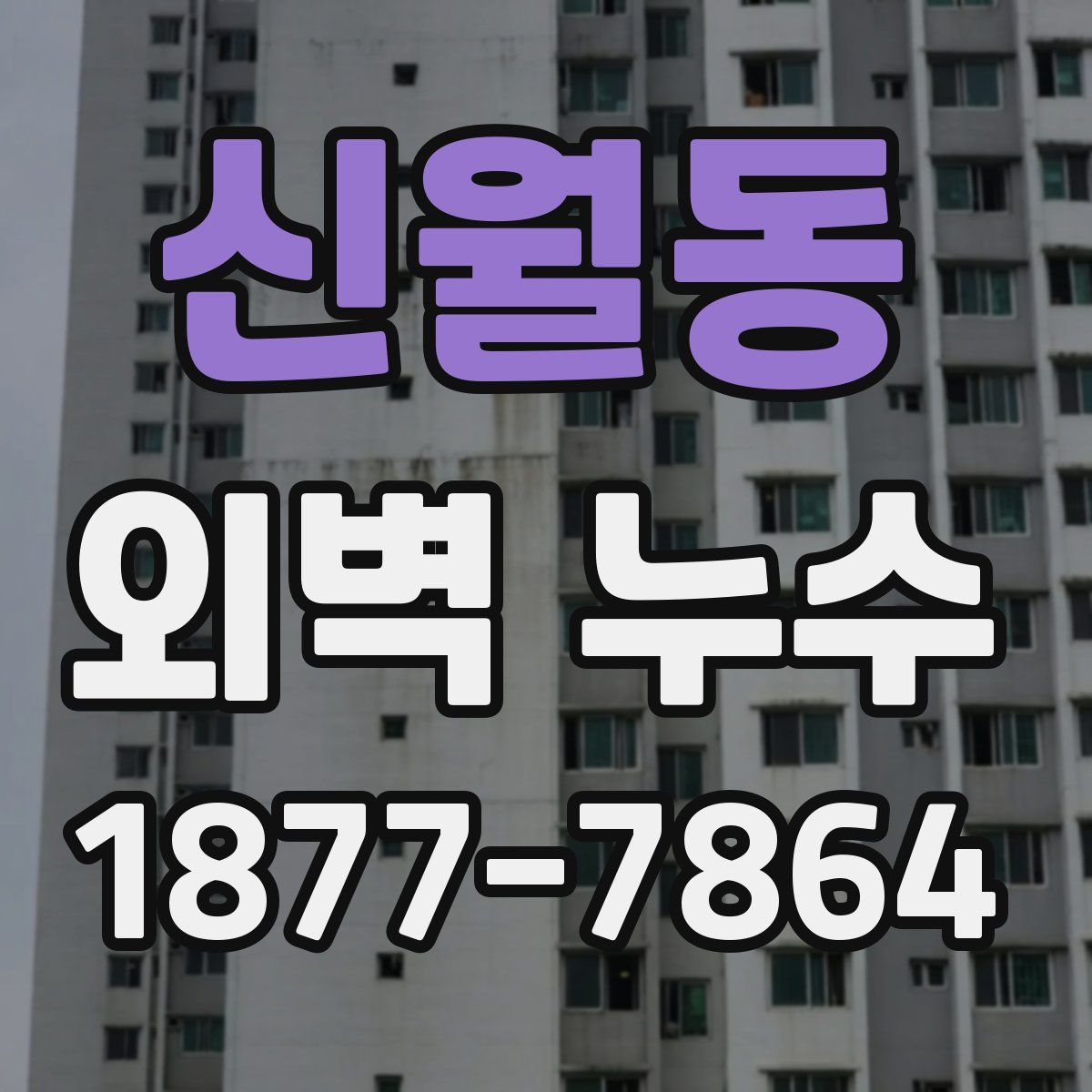 신월동 외벽 누수