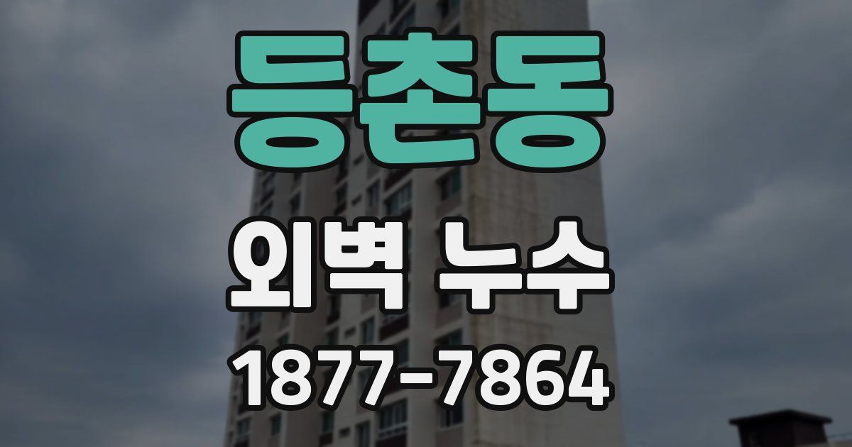 등촌동 외벽 누수