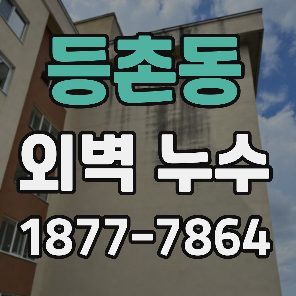 등촌동 외벽 누수
