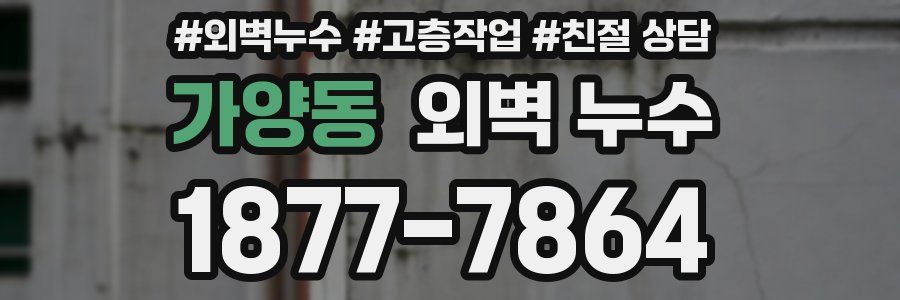가양동 외벽 누수