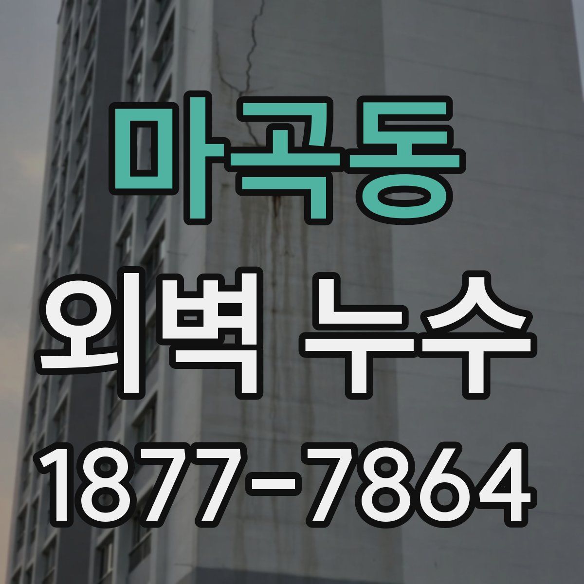 마곡동 외벽 누수