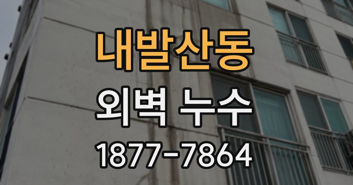 내발산동 외벽 누수