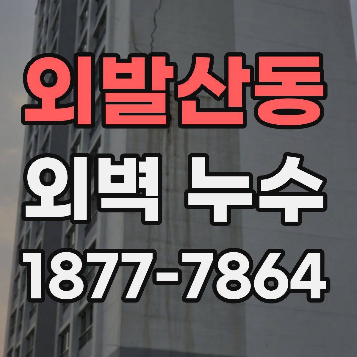 외발산동 외벽 누수 보수업체 선택 시 살펴볼 기준