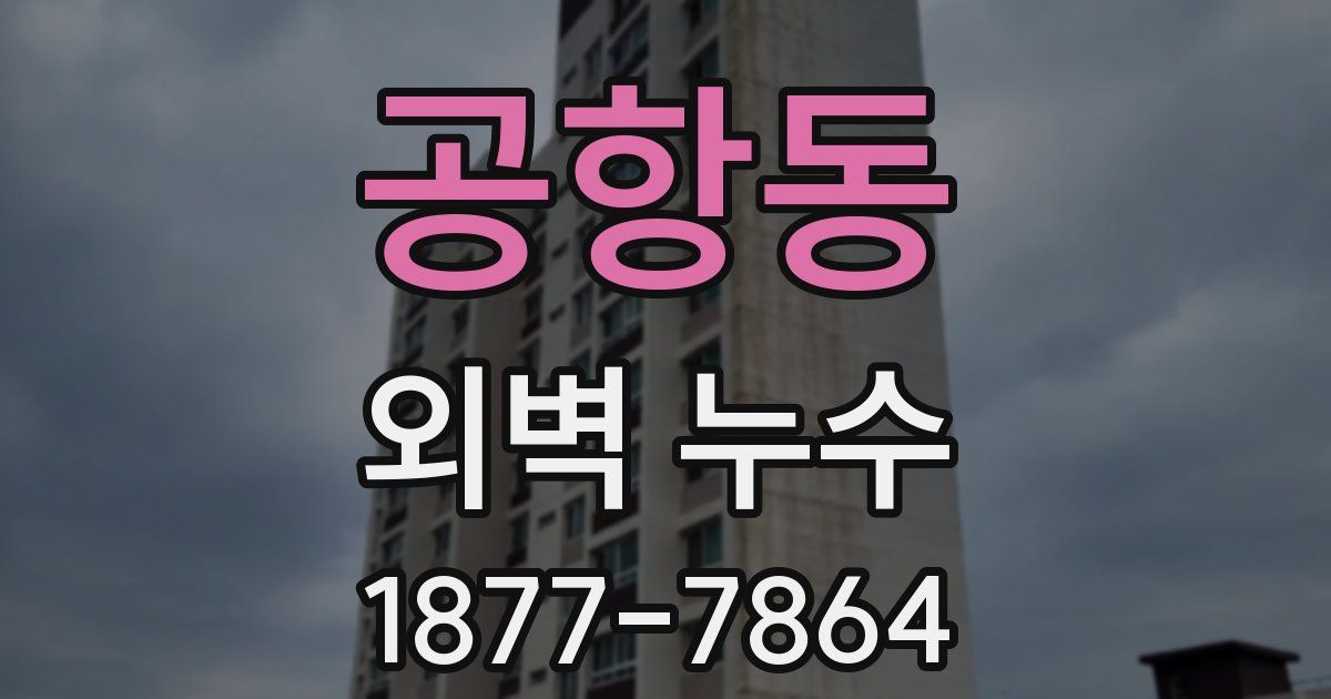 공항동 외벽 누수