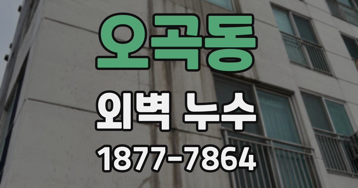 오곡동 외벽 누수